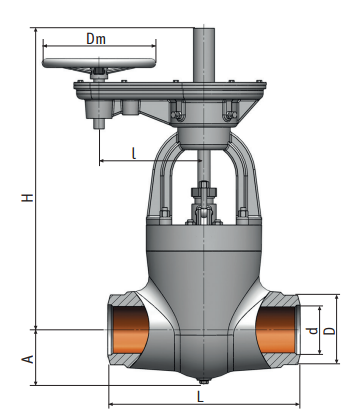 Gate valve on a high pressure 880-250-цз Picture