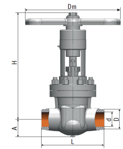 Gate valve 1511-100-m on medium parameters Picture