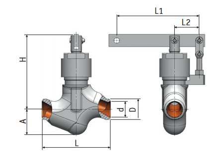 Regulating needle valve with lever actuation 9с-6-5| picture